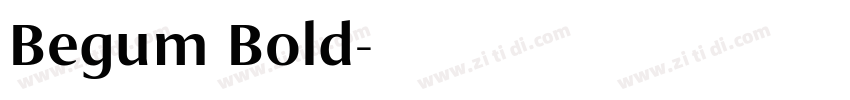 Begum Bold字体转换